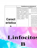 Clasificación de linfocitos B
