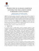 PRODUCCIÓN DE ALGINATO A PARTIR DE AZOTOBACTER VINELANDII EN MEDIO SUMERGIDO A NIVEL MATRAZ