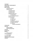 PREVALENCIA DE PACIENTES CON SINDROME PIRAMIDAL