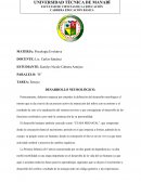 Desarrollo Neurologico