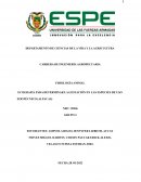 Ecografía para determinar la gestación en alpacas