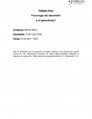 Trabajo final Psicología del desarrollo y el aprendizaje I