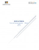 RCM y FMECA Camión minero