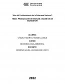 PRODUCCION DE BIOGAS A BASE DE UN BIOGESTOR