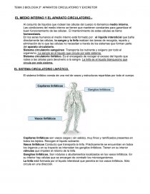 BIOLOGIA 3º APARATOS CIRCULATORIO Y EXCRETOR. Página 1