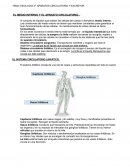 BIOLOGIA 3º APARATOS CIRCULATORIO Y EXCRETOR