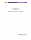 Planifiacion estrategica colun