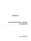 Acompañamiento y Apoyo Estudiantil