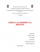 Ensayo el Gobierno y el mercado