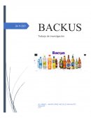 PROYECTO DE INVESTIGACION BACKUS