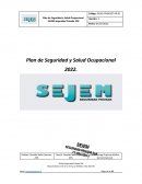 Plan de Seguridad y Salud Ocupacional