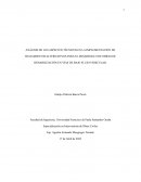 Análisis de los aspectos técnicos