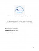 LOS PRINCIPLES PROBLEMAS ORGANIZACIONES Y LAS POSIBLES SOLUCIONES PARA EL BUEN FUNCIONAMIENTO Y EL LOGRO DE METAS