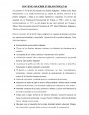 CONVENIO 169 SOBRE PUEBLOS INDÍGENAS