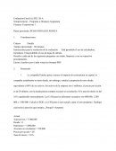 Evaluación Final (A) Finanzas Corporativas 1