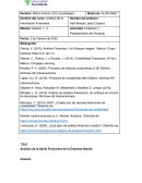 Análisis de la Salud Financiera de la Empresa Nemak