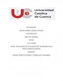 APLICACIÓN DE LOS DERECHOS HUMANOS EN EL TEXTO CONSTITUCIONAL