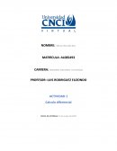 ACTIVIDAD 1 Calculo diferencial