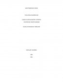 CASO PROGRESSIVE GROUP