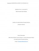 Argumentos a favor y en contra de la TLC