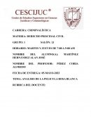 ANALISIS DE LA PELICULA ROSA BLANCA