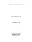 Escrito sobre las Dimensiones del Desarrollo Humano