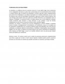 PROBLEMATICA DE WELLS FARGO