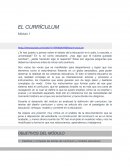 Introducción Al curriculum