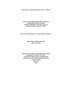 CIUDADANÍA LABORAL Formulación de las Actividades de Aprendizaje