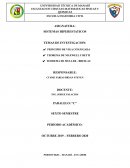 Sistemas hiperestaticos
