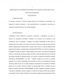 PIA ADMINISTRARON DE PROYECTOS