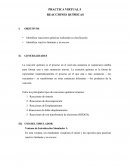 PRACTICA VIRTUAL 5 REACCIONES QUÍMICAS