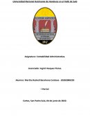 Estados Financieros Básicos