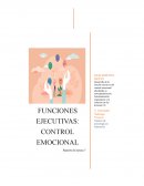FUNCIONES EJECUTIVAS: CONTROL EMOCIONAL