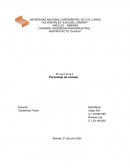 Práctica Porcentaje de cenizas