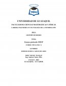 ENSAYO PROTOCLO SMNP