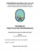 PRÁCTICAS PRE-PROFESIONALES REALIZADA EN EL BANCO DE CREDITO DEL PERÚ