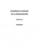 DESARROLLO HUMANO EN LA ORGANIZACIÓN