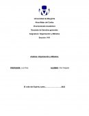 Análisis: Organización y Métodos