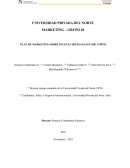 PLAN DE MARKETING SOBRE PALETAS ARTESANALES MR. COPPO