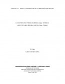 FUNDAMENTOS DE LA DIMENSIÓN PSICOSOCIAL