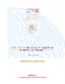 La implementación del Proyecto Didáctico