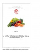 LA HUERTA FAMILIAR Y LA EDUCACION CAMPESINA