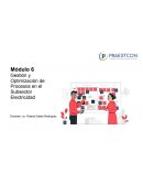 Gestion y optimizacion de procesos en el sub sector electricidad