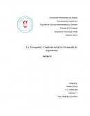 Psicologia social. Esquema social