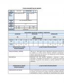 Ficha descriptiva 1°
