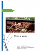 Planeta Verde