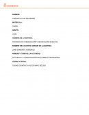 LA NEGOCIACIÓN EN EL ÁMBITO PROFESIONAL