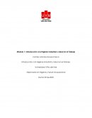 Linea de tiempo Salud ocupacional