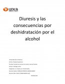 Diuresis y las consecuencias por deshidratación por el alcohol